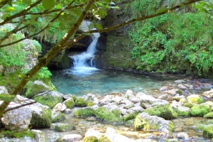 Rando douce en Vercors - Photo 3