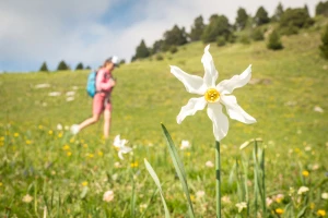 Rando douce en Vercors - Photo 3