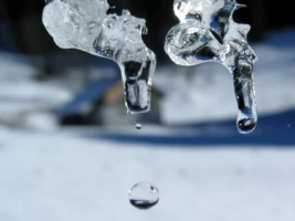 WE Réveillon Chablais - Val d'Abondance - Photo 1