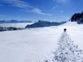 Raquettes & Bien Etre dans le Vercors - Photo 1