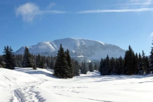 Raquettes & Bien Etre dans le Vercors - Photo 1