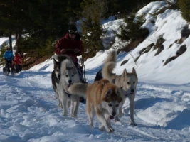 Cocktail Neige en Vallée de Névache - Photo 2