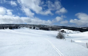 Traversée de l'Ardèche en liberté - Photo 2