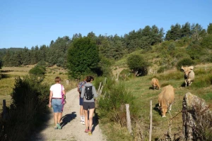 Chemins de Compostelle : Le Puy - Nasbinals - Photo 2