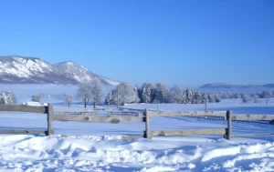 WE Réveillon Vercors Sauvage - Photo 2