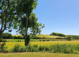 Chemins de Compostelle : Lectoure - Aire sur Adour - Photo 1