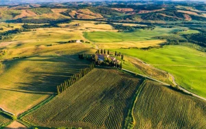 Toscane - Photo 1