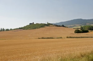 Chemins de Compostelle : Logrono - Burgos - Photo 1