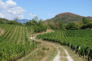 Chemins de Compostelle : Genève - St Genix sur G - Photo 3