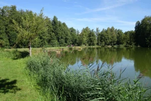 Chemins de Compostelle : St Genix sur G - Condrieu - Photo 3