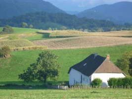Chemins de Compostelle : St Genix sur G - Condrieu - Photo 2