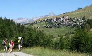 Queyras en liberté avec un âne - Photo 3
