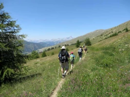 Queyras en liberté avec un âne - Photo 2