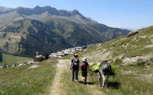 Queyras en liberté avec un âne - Photo 1
