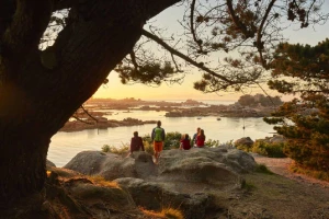 La Côte de Granit Rose en Liberté - Photo 2