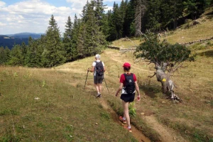 Traversée du Jura en Liberté - Photo 1