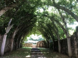 Retrouvance® : Millevaches - Photo 1