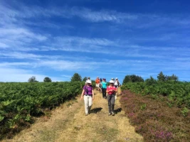 Retrouvance® : Millevaches - Photo 2