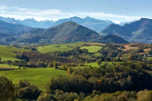 Chemins de Compostelle : Toulouse - Maubourguet - Photo 3