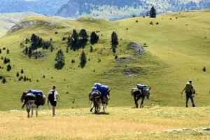 Nomades en Diois avec un âne - Photo 3