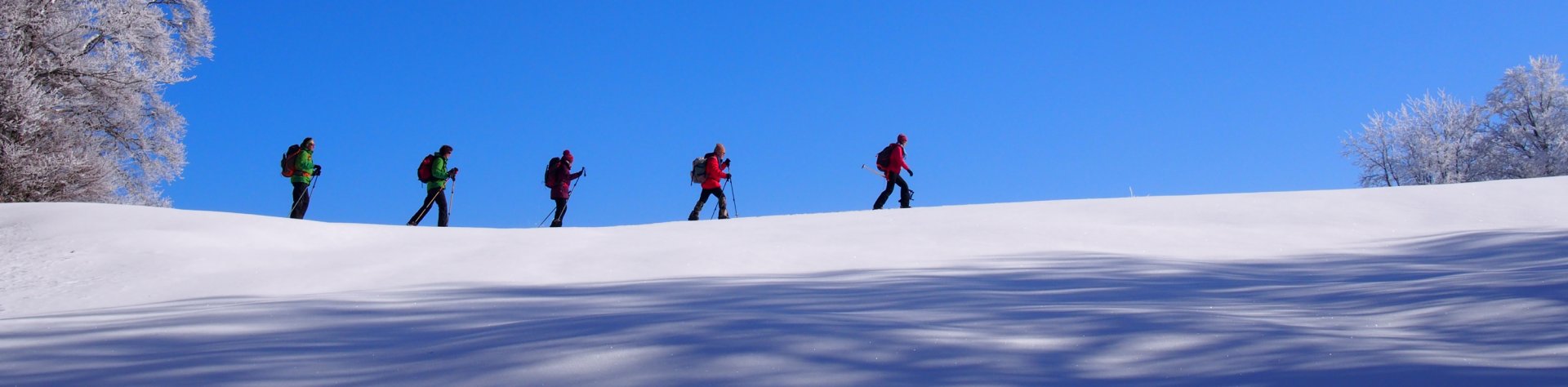 Découvrez nos séjours et voyages