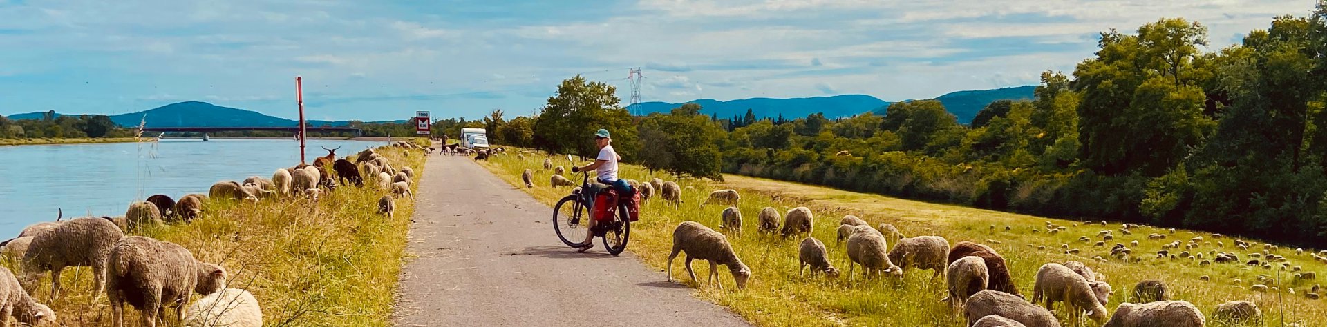 Découvrez nos séjours et voyages