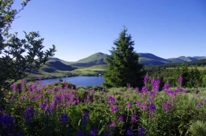 Traversée du Massif Central : du Puy de Dôme au Sancy - Photo 3
