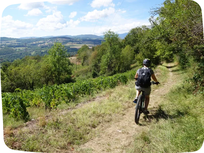 Séjours en liberté sur le chemin de Saint Jacques de Compostelle