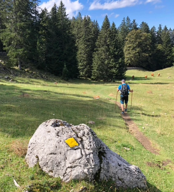 Un massif parfait pour l'été