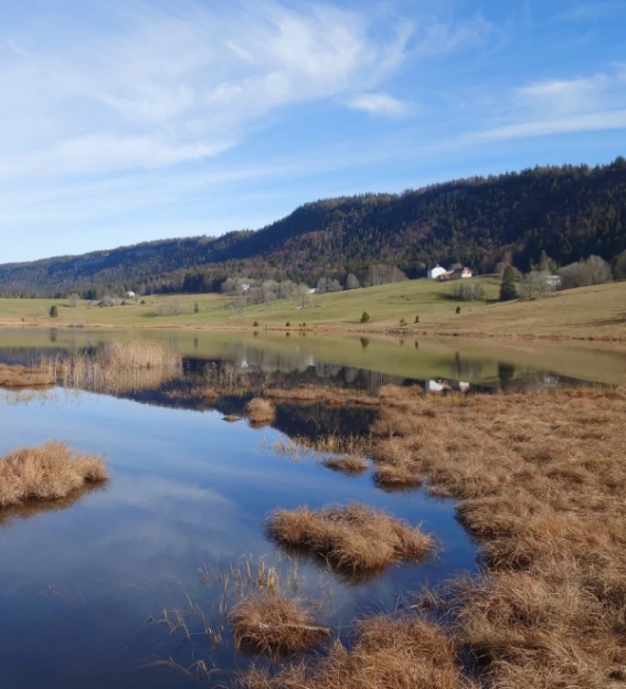 Toutes les couleurs de l'automne