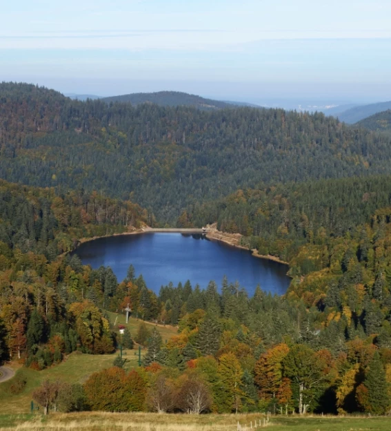 Les Hautes-Vosges : le cœur battant du massif !