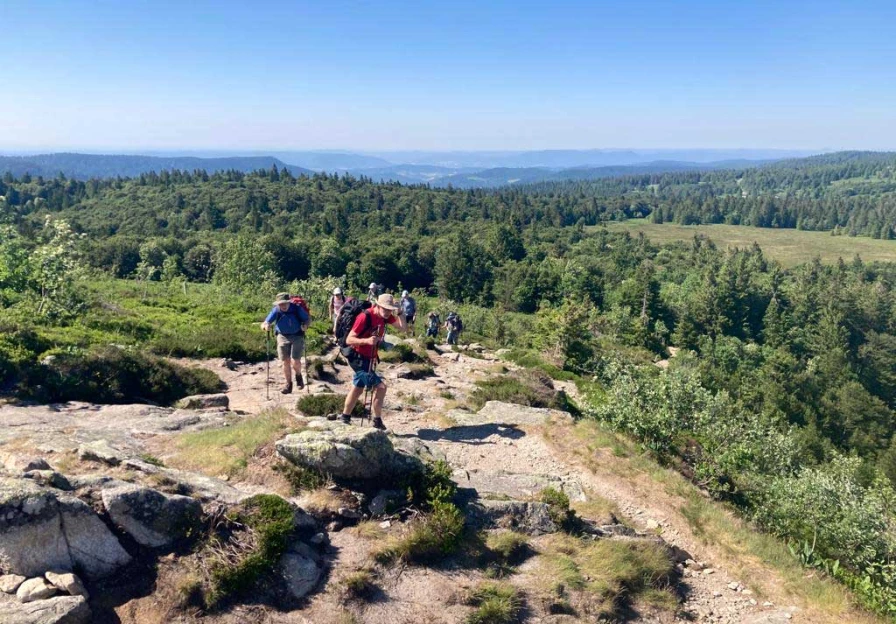 Traversée des Hautes Vosges - Vosges