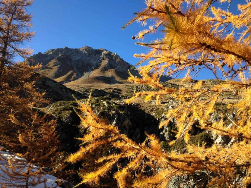 Couleurs d'automne en Queyras - Alpes du Sud