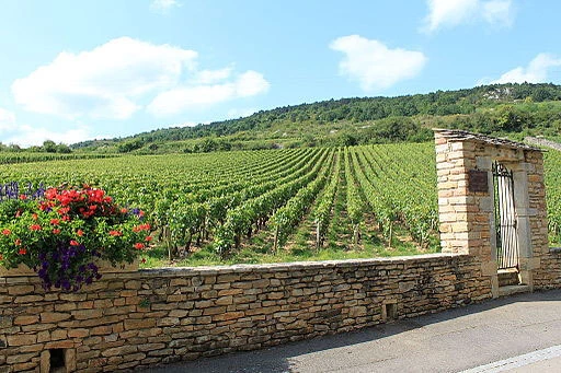 Chemins de Compostelle : Beaune - Cluny - Massif Central