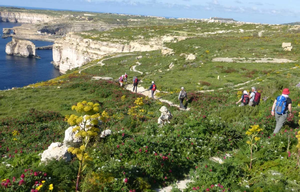 Malte, Gozo & Camino - 