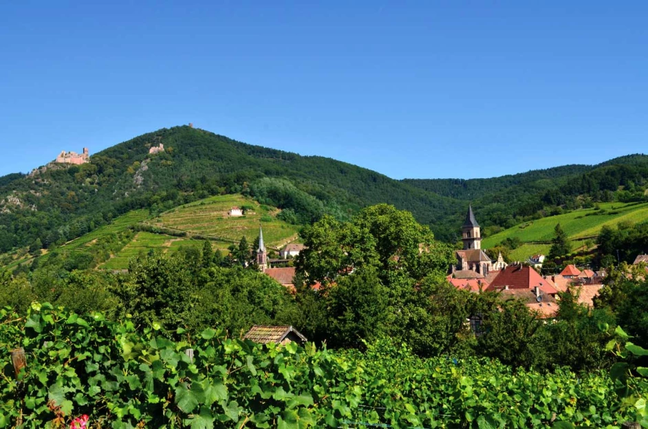Alsace en liberté - Vosges