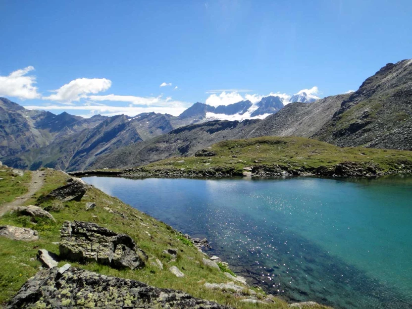 Grand Paradis en liberté - 