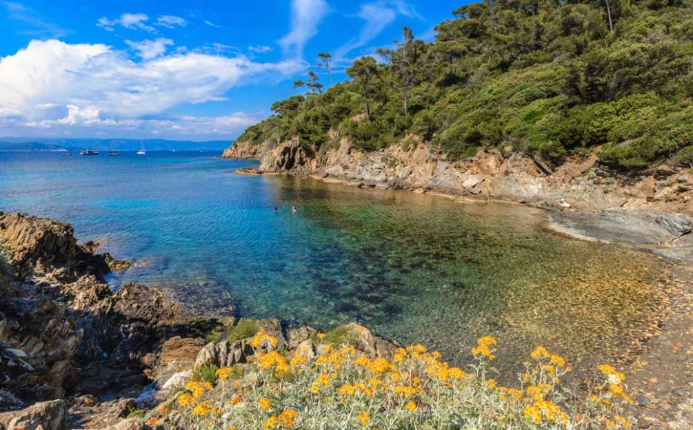 Hyères, et les Iles d'Or en étoile en liberté - Provence