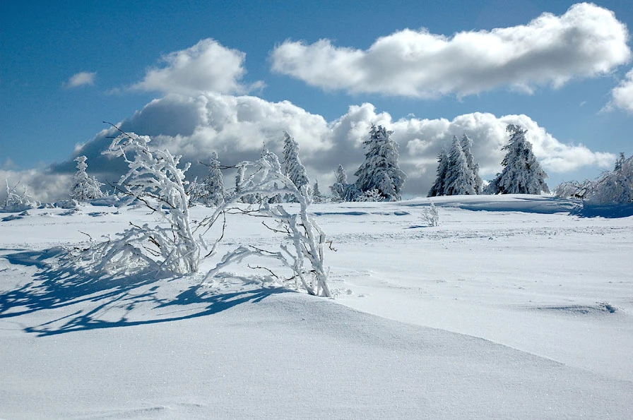 Le Lac Blanc en Liberté - Vosges