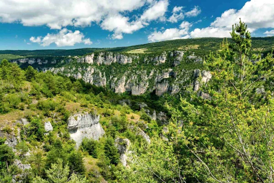 Du Larzac aux Gorges du Tarn - Massif Central
