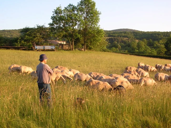 Multiactivités dans le Larzac - Massif Central