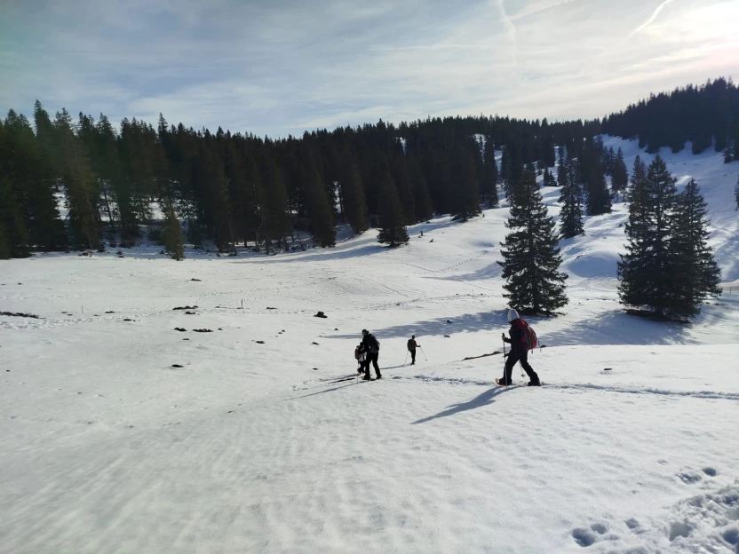 Raquettes & Détente dans le Jura - Jura