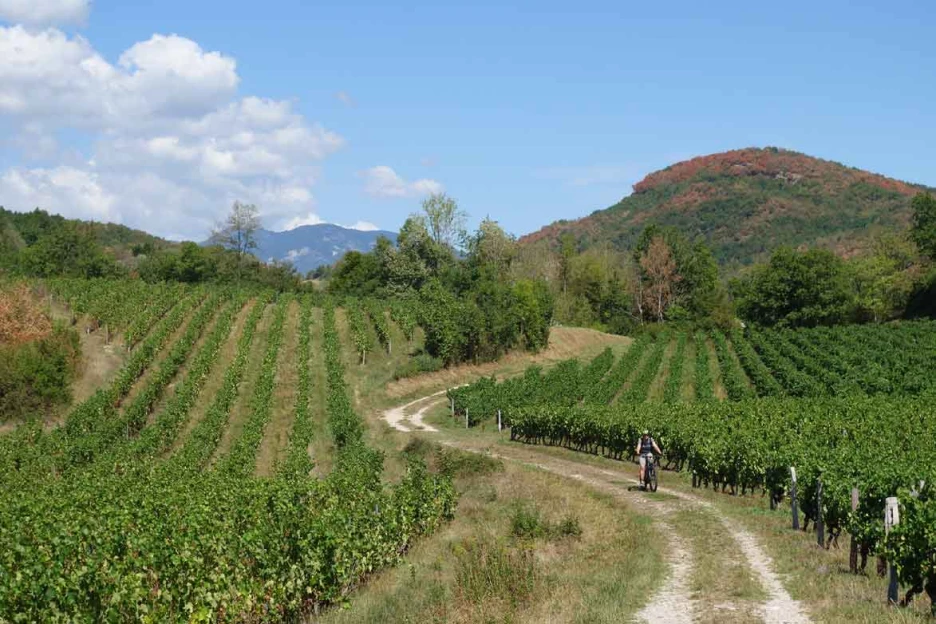Compostelle à vélo : Genève - Le Puy - Massif Central