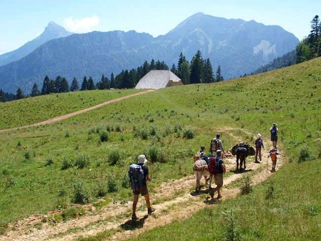 Tour de Chartreuse avec un âne - Alpes du Nord