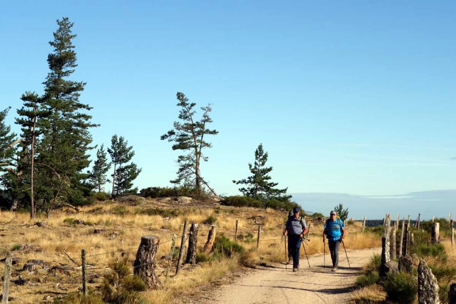 Chemins de Compostelle : Le Puy - Nasbinals - Massif Central