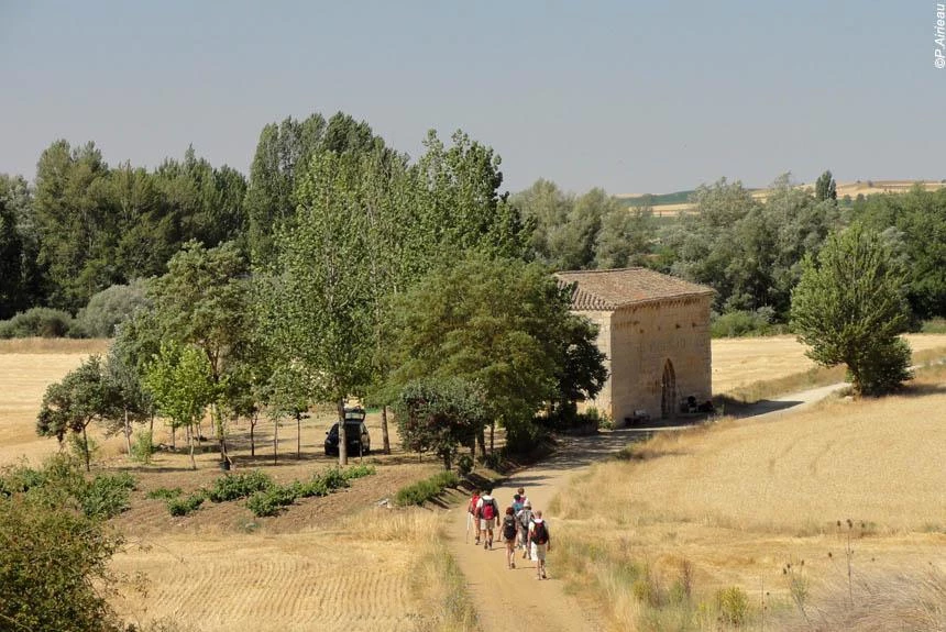 Chemins de Compostelle : Burgos - Léon - 