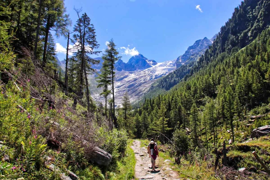 Chamonix - Zermatt - Alpes du Nord