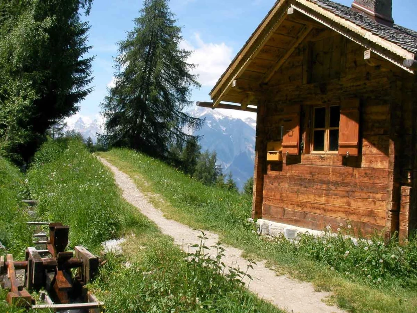 Les Bisses du Valais en Liberté - 