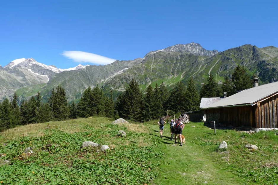 Tour du Mont Blanc Sud en liberté - Alpes du Nord