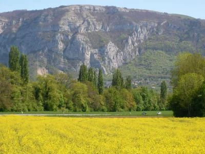 Chemins de Compostelle : Genève -  Le Puy - Massif Central
